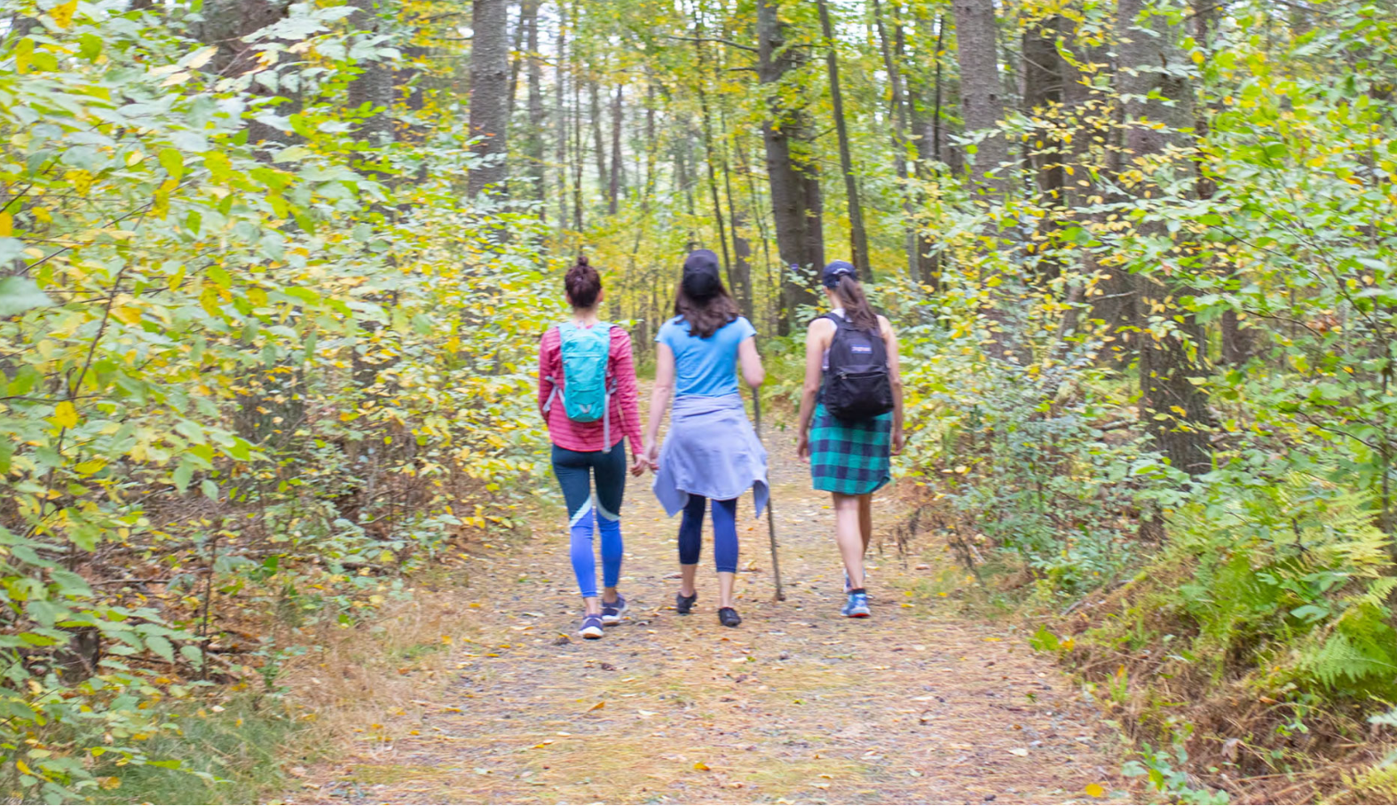 Pequot Trails
