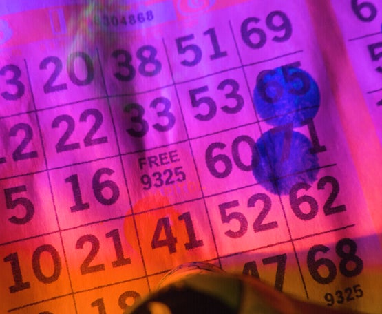 Bingo Unleashed