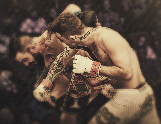 LFA MMA