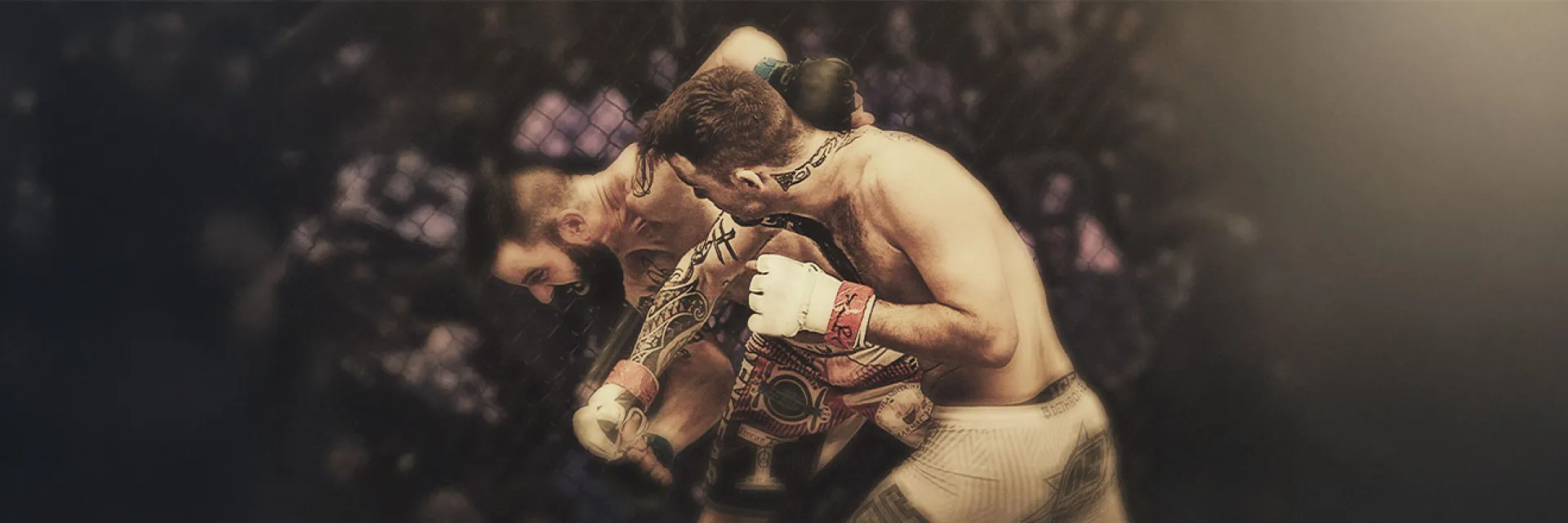 LFA MMA