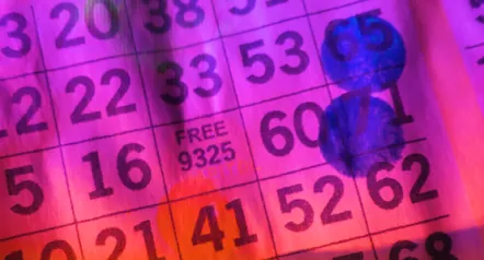 Bingo Unleashed